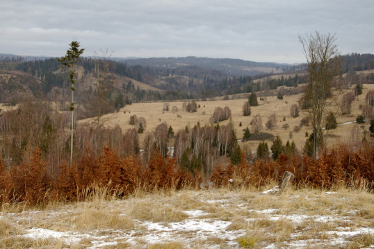 Průzkumná akce u Zigartic 16.1.2022