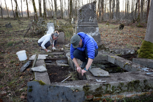 Sadíme astry na hrobě rodiny PULZ a dalších